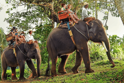 TheActivity that won the Best Tourist Attraction in SriLanka