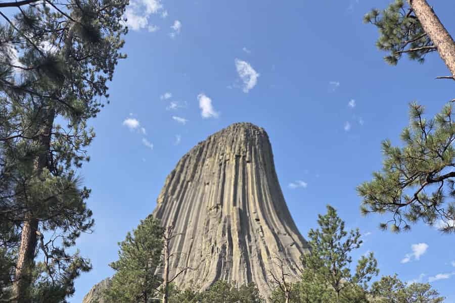 Von Rapid City aus: Devils Tower National Monument Tagestour. Foto: GetYourGuide Von Rapid City aus: Devils Tower National Monument Tagestour. Foto: GetYourGuide