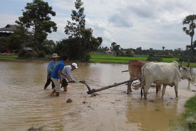 From Siem Reap: Private Customizable Tour with Guide 1-Day Private Tour