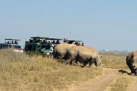 Nairobi Park Safari, Sheldrick's Orphanage & Giraffe Center Shared Drive in Open-Roof Van Game Drive