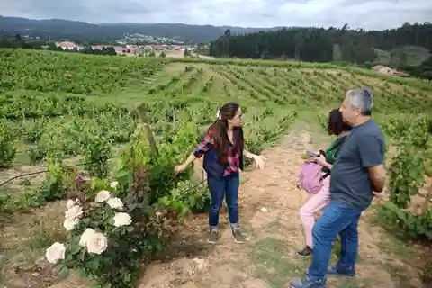 De Coimbra: Experiência Rota dos Vinhos do Dão