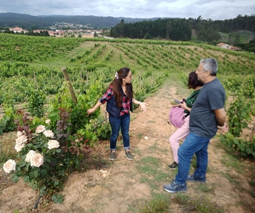 Vanuit Coimbra: Wijnroute ervaring in Dão