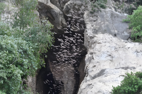 From Siem Reap: Banteay Chhmar Temple & Battambang Tour