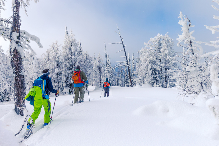 Vanuit Cappadocië: Erciyes-skitocht (optionele overnachting)Erciyes-skitocht met skipas en volledige uitrusting