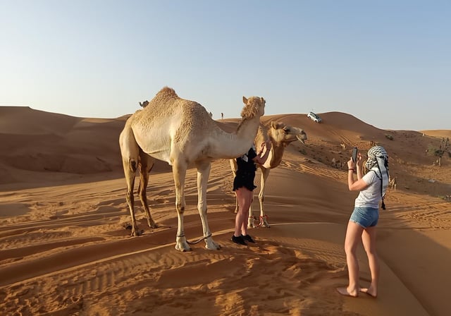 Depuis Dubaï : soirée safari dans le désert et dîner-buffet