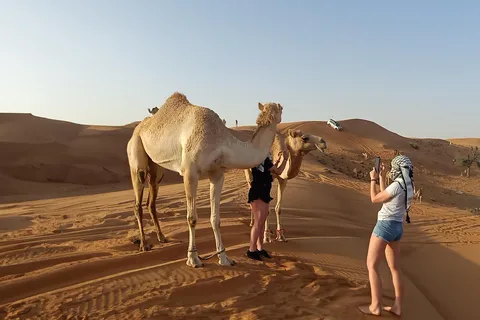 Dubai: safari serale nel deserto delle dune rosse con cena