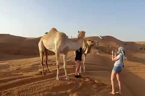 Dubai: safari serale nel deserto delle dune rosse con cena