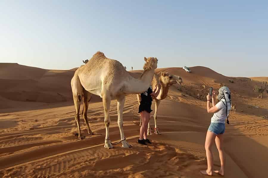 Dubai: Rote-Dünen-Wüstensafari mit Premium-Camp-Barbecue & Shows. Foto: GetYourGuide