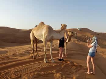 Dubai: Evening Red Dunes Desert Safari with Buffet Dinner
