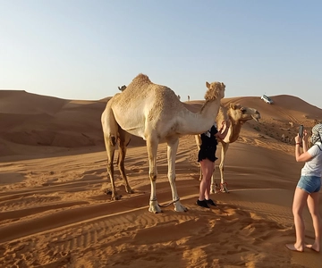 Dubai: Evening Red Dunes Desert Safari with Buffet Dinner