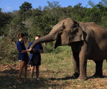 Chiang Mai: Doi Inthanon Hiking & Half Day Elephant Care
