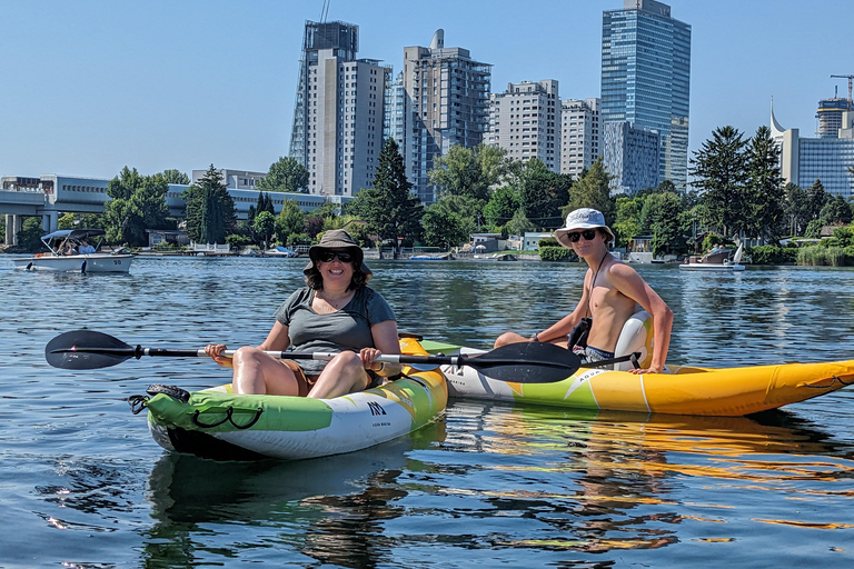 Vienna: Guided Kayaking TourShared Group Kayaking Tour