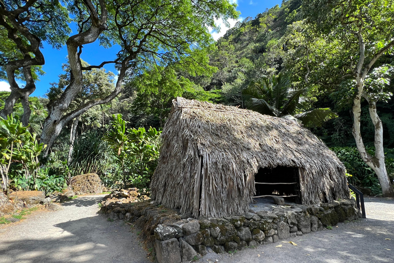 Oahu: Wycieczka prywatna Waikiki - Pełny krąg wysp - Możliwość dostosowania