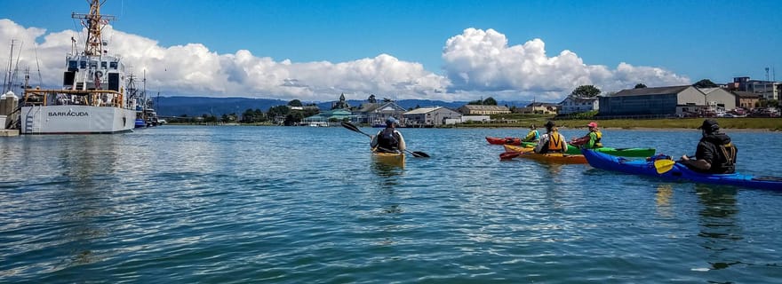 Explorez la baie de Humboldt en kayak