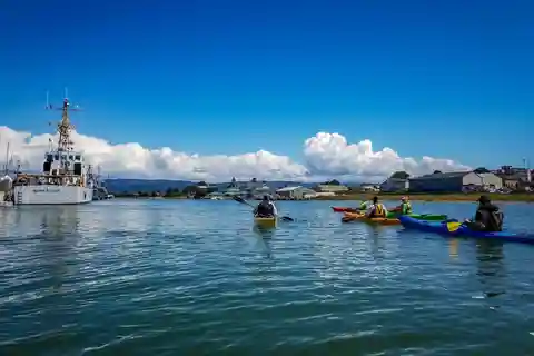 Explore Humboldt Bay by Kayak