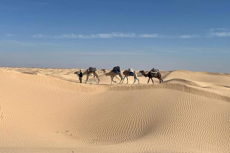From Djerba/Zarzis: Full-Day Ksar Ghilane Desert Tour