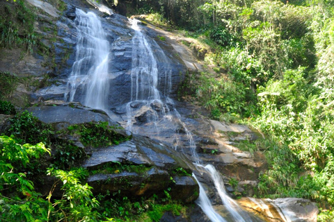 Rio de Janeiro : Visite privée Forêt de Tijuca et Santa Teresa