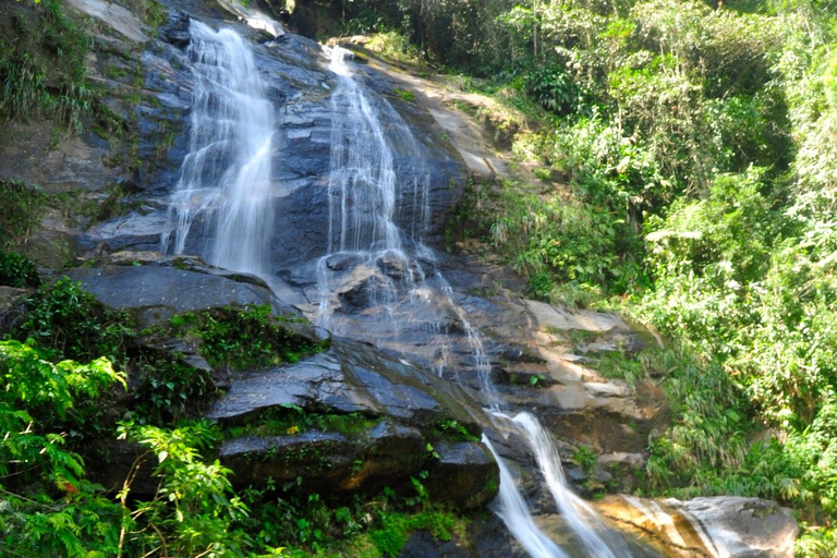 Rio de Janeiro : Visite privée Forêt de Tijuca et Santa Teresa