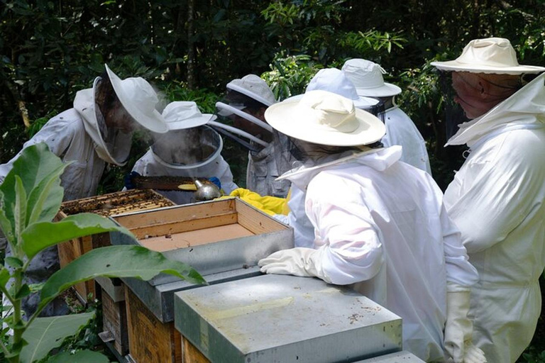 São Miguel: Beekeeping, Honey Tasting & Candle Experience