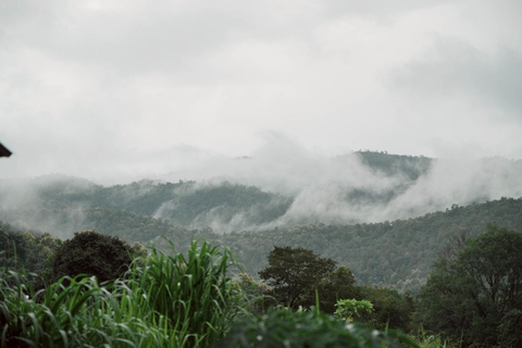 Chiang Mai: Elephant Sanctuary & Thai Cooking Workshop Meeting Point In Town