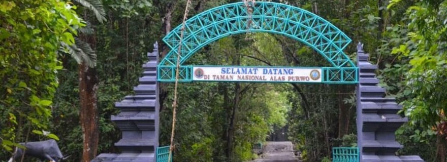 Banyuwangi : visite du parc national d'Alas Purwo et de la plage de G-Land