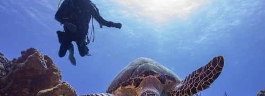 Cozumel : découverte de la plongée sous-marine. Aucune expérience requise.