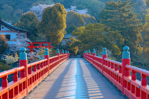 Osaka: Kyoto & Uji Day Tour, Kinkakuji&Kiyomizudera&Byodo-in Kyoto & Uji Day Tour | 8:00 AM from Osaka