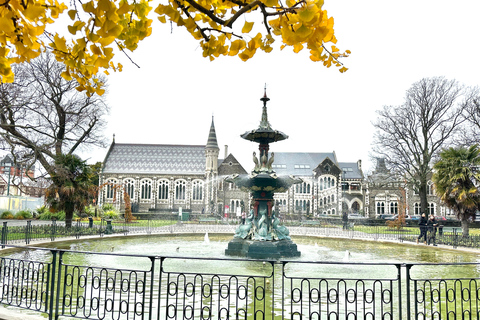 Visita privada de medio día a los lugares más destacados de la ciudad de Christchurch