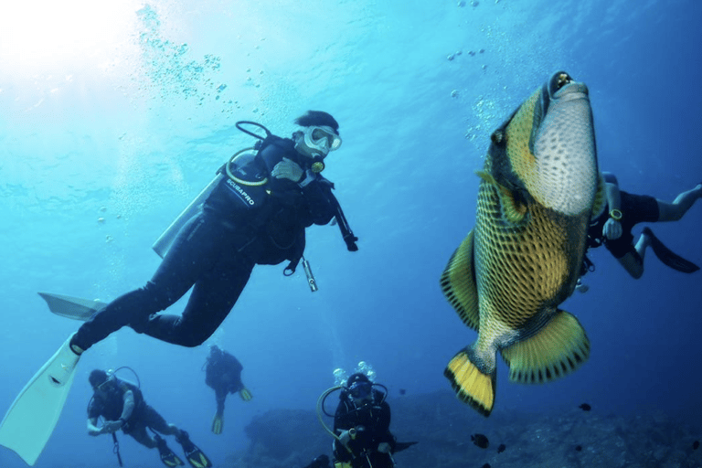 Pattaya: Fun dives in Pattaya and Samaesarn with transfer 3 Dives