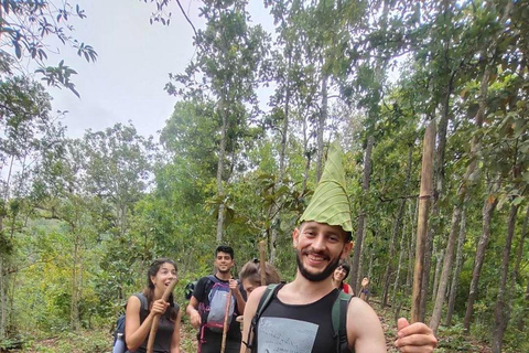 Chiang Mai: One Day Eco-Trek, Elephant care & Bamboo Rafting