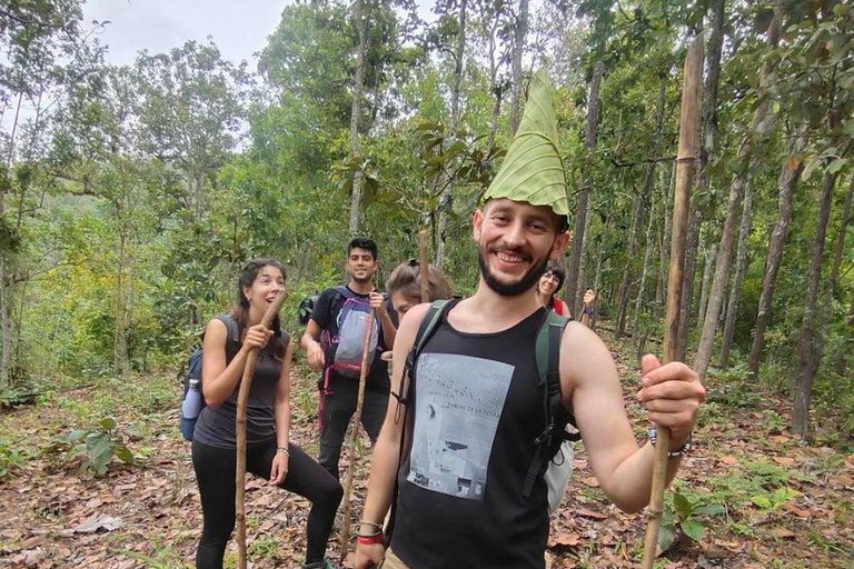 Chiang Mai: One Day Eco-Trek, Elephant care & Bamboo Rafting