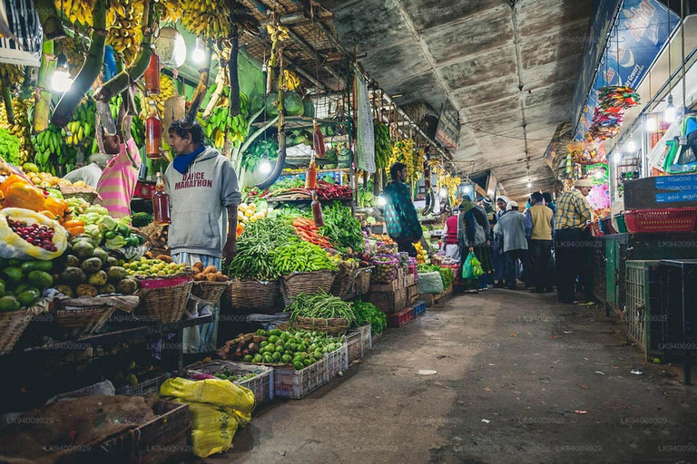 Kandy to Ella Transfer With Lakes, Falls & Botanical Garden