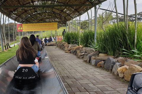 Kaapstad: Cool Running/Toboggan Adventure en ophaalservice vanaf je hotelKaapstad: Cool Running/Toboggan-avontuur en ophaalservice vanaf je hotel