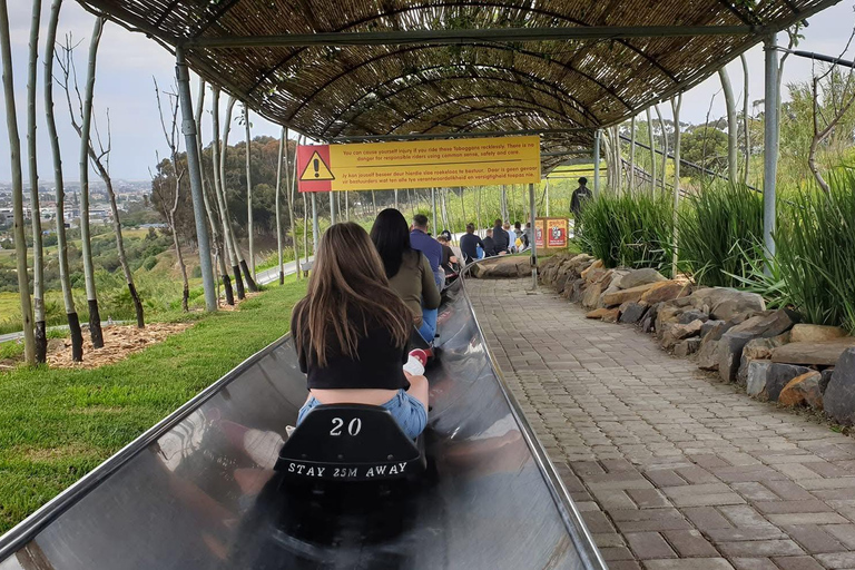 Kaapstad: Cool Running/Toboggan Adventure en ophaalservice vanaf je hotelKaapstad: Cool Running/Toboggan-avontuur en ophaalservice vanaf je hotel