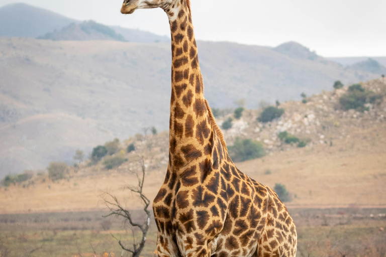 Arusha: Ganztägige Safari zum Arusha-Nationalpark