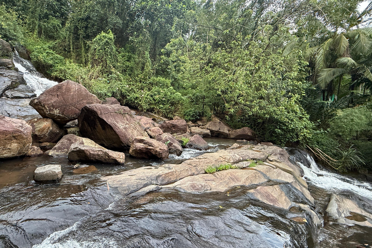 From Colombo: Cave Temples, Jungle Trek & Waterfall Swim