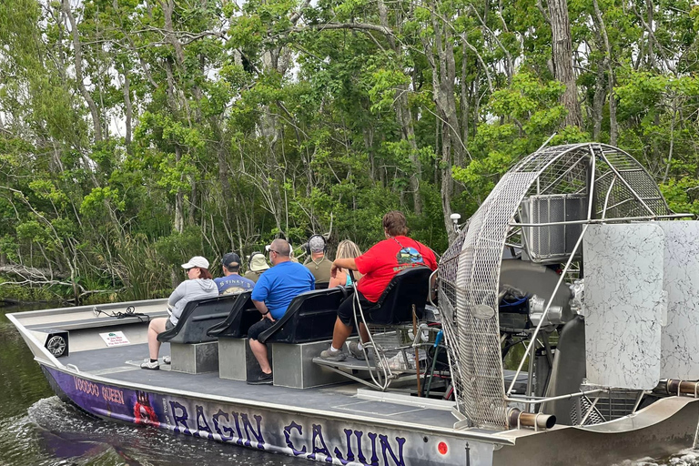 New Orleans: 10 Passenger Airboat Swamp Tour Activity without Hotel Pickup and Drop-Off