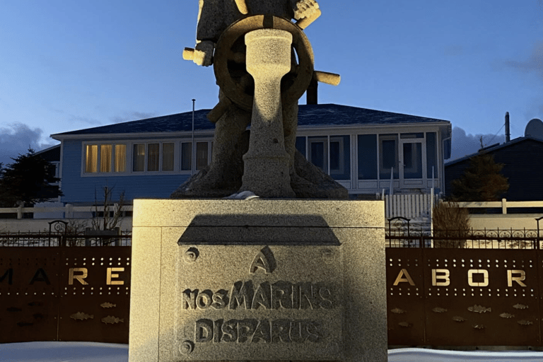 Saint-Pierre : visite à pied avec un guide de la région