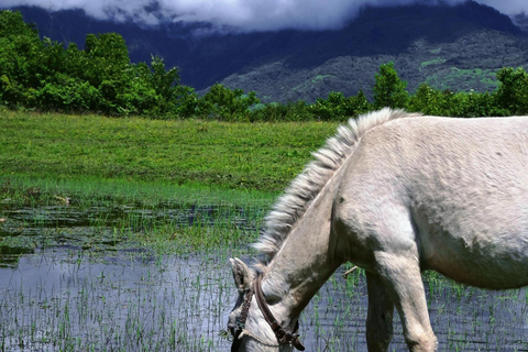 Lijiang: Yulong Snow Mountain, Blue Moon Valley & Show Yakniuping Cableway + "Impression Lijiang" live performance