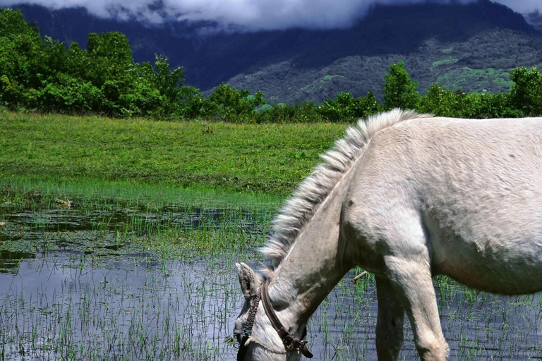 Lijiang: Yulong Snow Mountain, Blue Moon Valley & Show Yakniuping Cableway + "Impression Lijiang" live performance