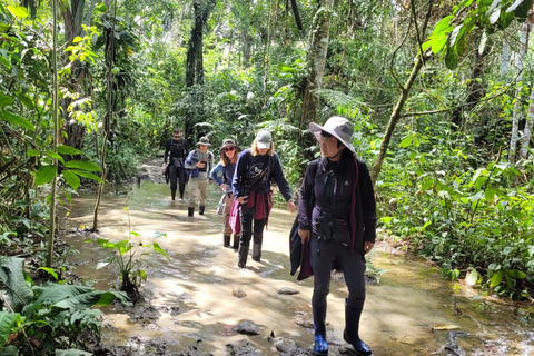 EXCURSION DANS LA JUNGLE AU PARC MANU 3J/2N