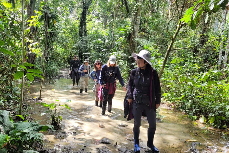 EXCURSION DANS LA JUNGLE AU PARC MANU 3J/2N