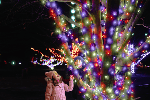 Warsaw: Garden of Lights Entry Ticket Warsaw: Garden of Lights Entry Ticket - Weekends