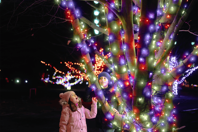 Warsaw: Garden of Lights Entry Ticket Warsaw: Garden of Lights Entry Ticket - Weekends