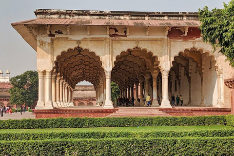 Uit Delhi: Gouden Driehoek met Chand Baori (Step Well)Privétour met driesterrenhotels