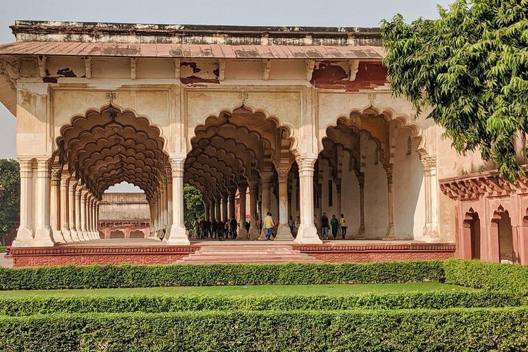 Uit Delhi: Gouden Driehoek met Chand Baori (Step Well)Privétour met driesterrenhotels