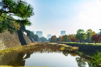 Chiyoda Imperial Palace Walking Tour - Housity