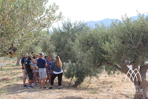 Visite guidée et dégustation d&#039;huile à l&#039;usine Aceites MolisurFRENCH TOUR - Visite guidée et dégustation d&#039;huile aux Aceites Molisur