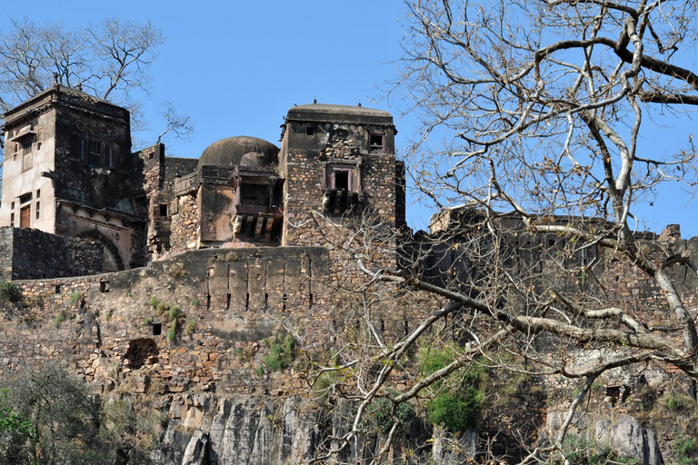 Z Delhi: 6-dniowa wycieczka po Złotym Trójkącie z RanthamboreWycieczka z samochodem + przewodnik + 4-gwiazdkowy hotel + prywatny jeep safari