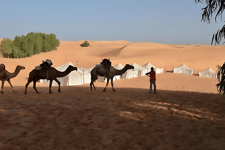 Experience Lampoul: Camel rides, sand dunes and desert safari in Senegal